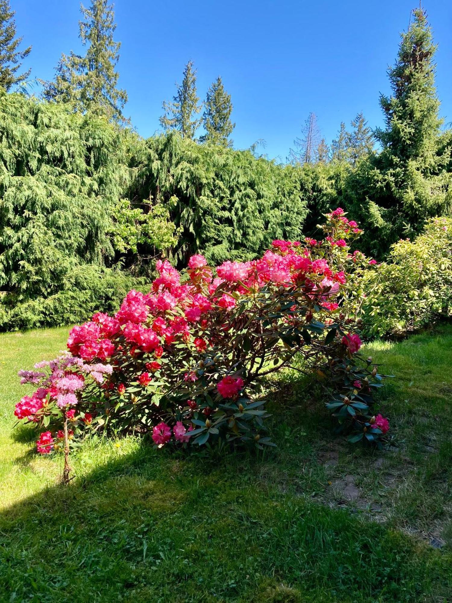 Red Robe B&B Nanaimo Exterior foto